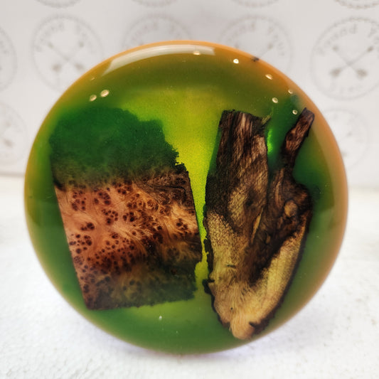 Treasures of the Forest Mini Marker