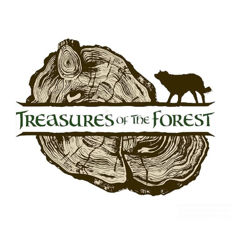 Treasures of the Forest